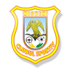 CS Mioveni CS Mioveni