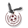 Kartalspor
