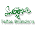 Sidigas Avellino
