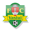 FC Vaslui