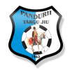 Pandurii Târgu-Jiu