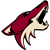 Phoenix Coyotes